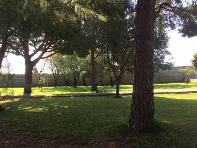 Villa Torrealta, 4000 M2 加的斯 外观 照片