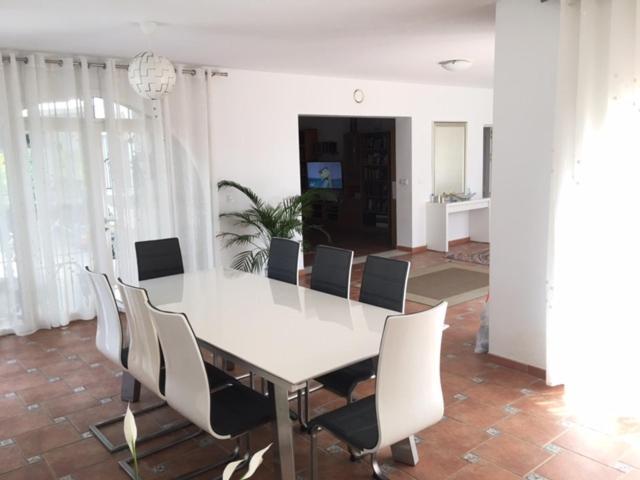 Villa Torrealta, 4000 M2 加的斯 外观 照片