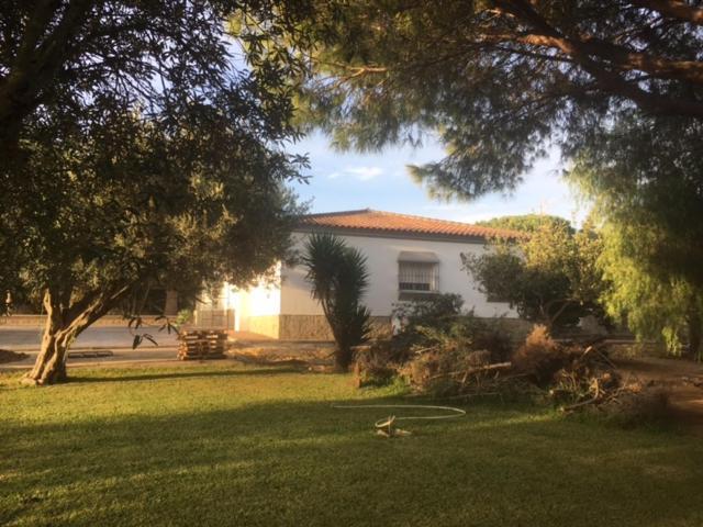 Villa Torrealta, 4000 M2 加的斯 外观 照片